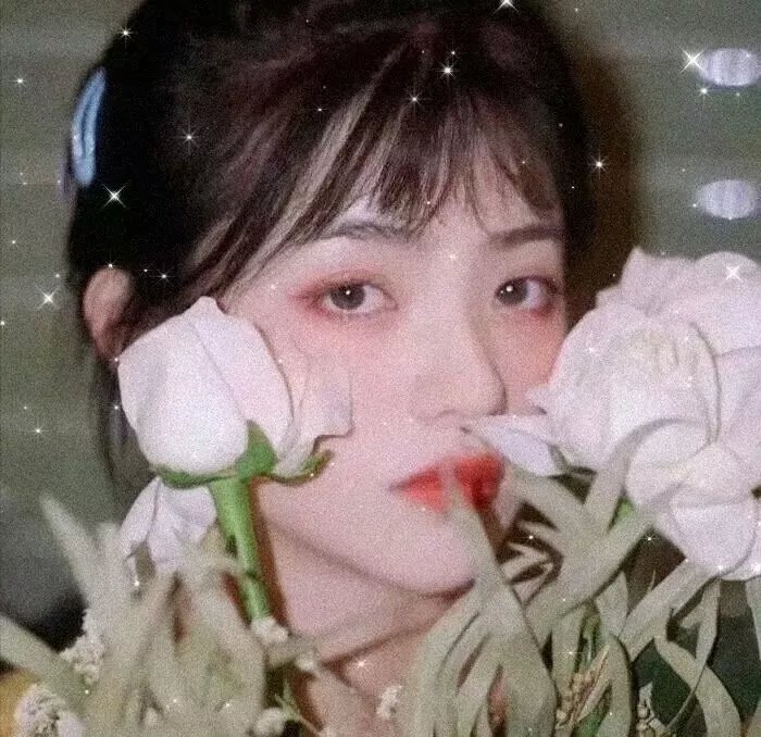 《洪水未至》封面
